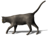 Captcha image 4112
